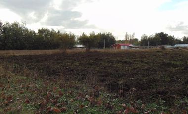 Parcela de 5.000 m2 San Ignacio, Ñuble