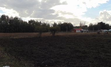 Parcela de 5.000 m2 San Ignacio, Ñuble