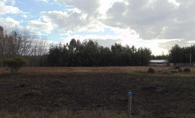 Parcela de 5.000 m2 San Ignacio, Ñuble