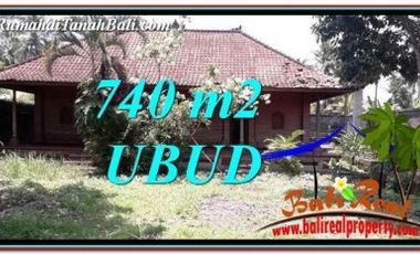 Peluang Investasi di Ubud Bali, Tanah Murah 7 Are View Sawah
