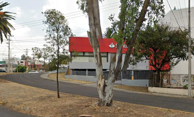 Terreno en renta en Avenida Rosendo Márquez