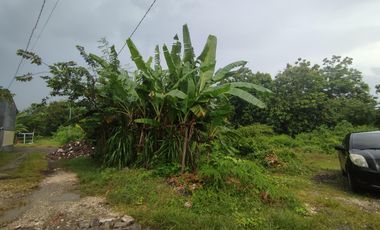 Land For Sale in Taman Mumbul - Nusa Dua
