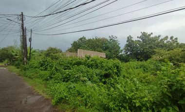Land For Sale in Taman Mumbul - Nusa Dua