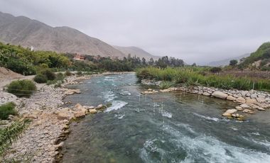 Terrenos Agricolas Venta  Pampas de Casaya, Margen derecho del rio de Cañete  - LUNAHUANA