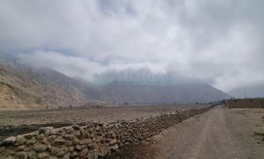 Terrenos Agricolas Venta  Pampas de Casaya, Margen derecho del rio de Cañete  - LUNAHUANA