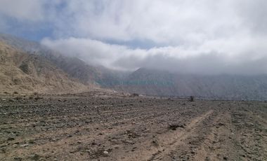 Terrenos Agricolas Venta  Pampas de Casaya, Margen derecho del rio de Cañete  - LUNAHUANA