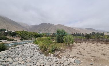 Terrenos Agricolas Venta  Pampas de Casaya, Margen derecho del rio de Cañete  - LUNAHUANA
