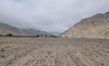 Terrenos Agricolas Venta  Pampas de Casaya, Margen derecho del rio de Cañete  - LUNAHUANA