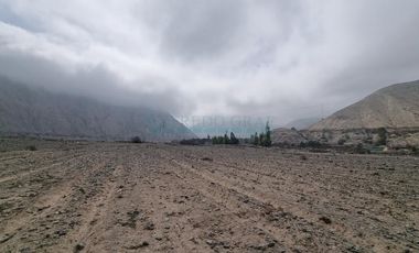 Terrenos Agricolas Venta  Pampas de Casaya, Margen derecho del rio de Cañete  - LUNAHUANA