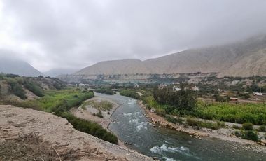 Terrenos Agricolas Venta  Pampas de Casaya, Margen derecho del rio de Cañete  - LUNAHUANA
