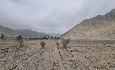 Terrenos Agricolas Venta  Pampas de Casaya, Margen derecho del rio de Cañete  - LUNAHUANA