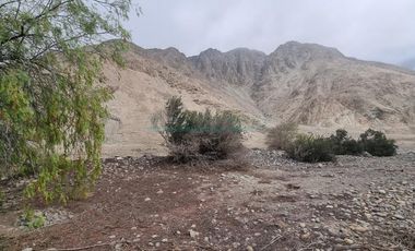 Terrenos Agricolas Venta  Pampas de Casaya, Margen derecho del rio de Cañete  - LUNAHUANA