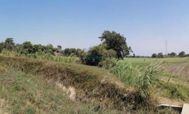 Terrenos Agricolas Venta CAL. Predio San Francisco, Valle Chancay  - CHICLAYO