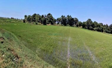 Terrenos Agricolas Venta CAL. Predio San Francisco, Valle Chancay  - CHICLAYO