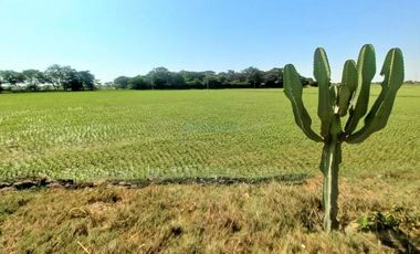 Terrenos Agricolas Venta CAL. Predio San Francisco, Valle Chancay  - CHICLAYO