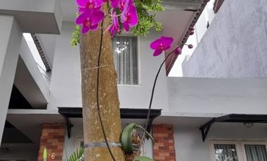 Rumah Cantik Siap Huni Di Bintaro Sektor 9 - EV 5425 BR