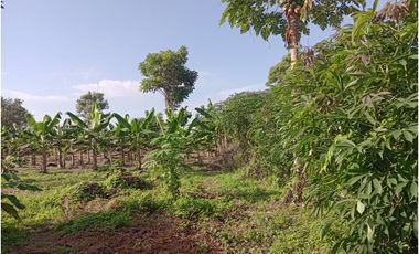 VENTA DE CASA FINCA EN CERETE