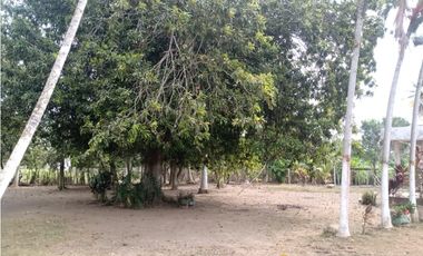 VENTA DE CASA FINCA EN CERETE