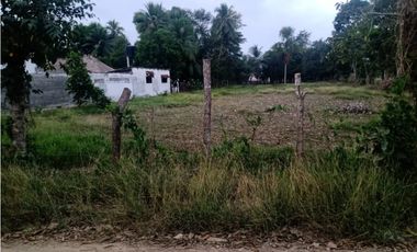 VENTA DE CASA FINCA EN CERETE