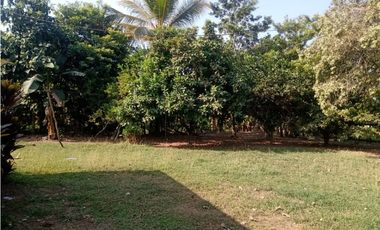 VENTA DE CASA FINCA EN CERETE