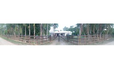 VENTA DE CASA FINCA EN CERETE