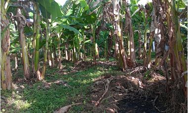 VENTA DE CASA FINCA EN CERETE