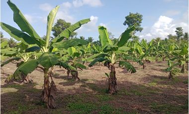 VENTA DE CASA FINCA EN CERETE