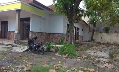 dikontrakan Rumah bisa untuk usaha di Kutisari