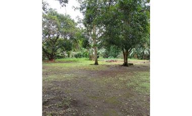 VENDO/ALQUILO CASA DE 4HAB CAIMITO