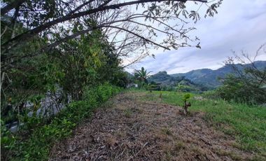 Venta espectacular lote campestre independiente la trinidad, Manizales