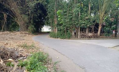 Hunian Minimalis Modern Tipe 30 di Timur Jogja