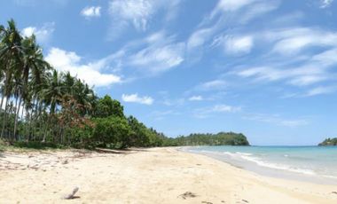 Beach Lot for Sale in Napsan Beach, Puerto Princesa