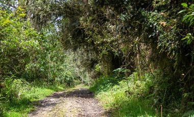 lote en venta en buenos aires. Cod V15561