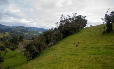 lote en venta en buenos aires. Cod V15561