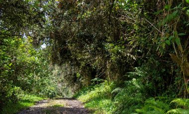 lote en venta en buenos aires. Cod V15561