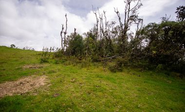 lote en venta en buenos aires. Cod V15561