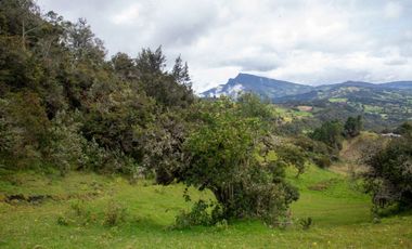 lote en venta en buenos aires. Cod V15561