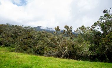 lote en venta en buenos aires. Cod V15561