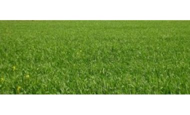 Terreno venta en Parque Lefevre, Ciudad de Panamá