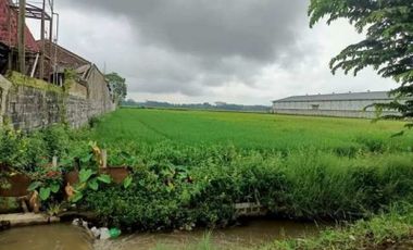 Tanah dijual nol jalan provinsi Luas 1000 Pakisaji Malang