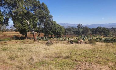 TERRENO EXCELENTE UBICACIÓN PARA CABAÑAS O CASA DE CAMPO