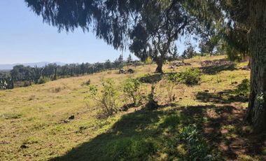 TERRENO EXCELENTE UBICACIÓN PARA CABAÑAS O CASA DE CAMPO