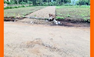 Bonus IPhone 13 Nabung Kavling Areal Alun-Alun Tanjungsari