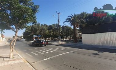 Sitio en Arriendo en Propiedad en venta en Tierra Amarilla