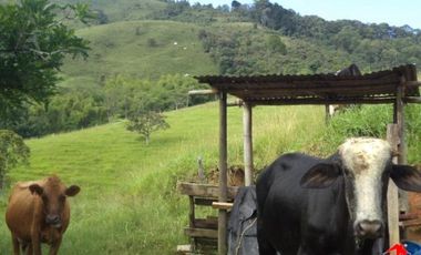 finca en venta en prado. Cod V3556