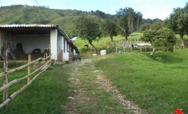 finca en venta en prado. Cod V3556