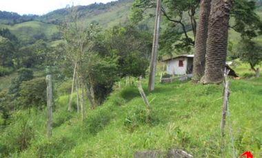 finca en venta en prado. Cod V3556