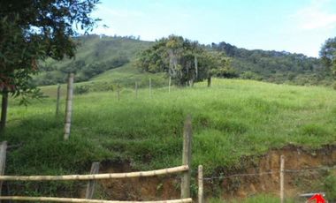 finca en venta en prado. Cod V3556