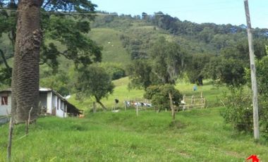 finca en venta en prado. Cod V3556