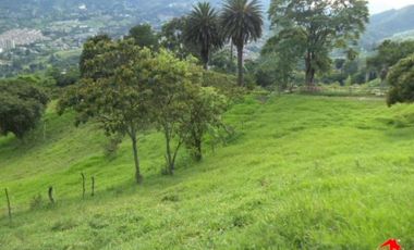 finca en venta en prado. Cod V3556